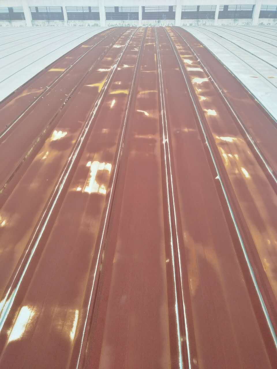 142548584601531744.jpg