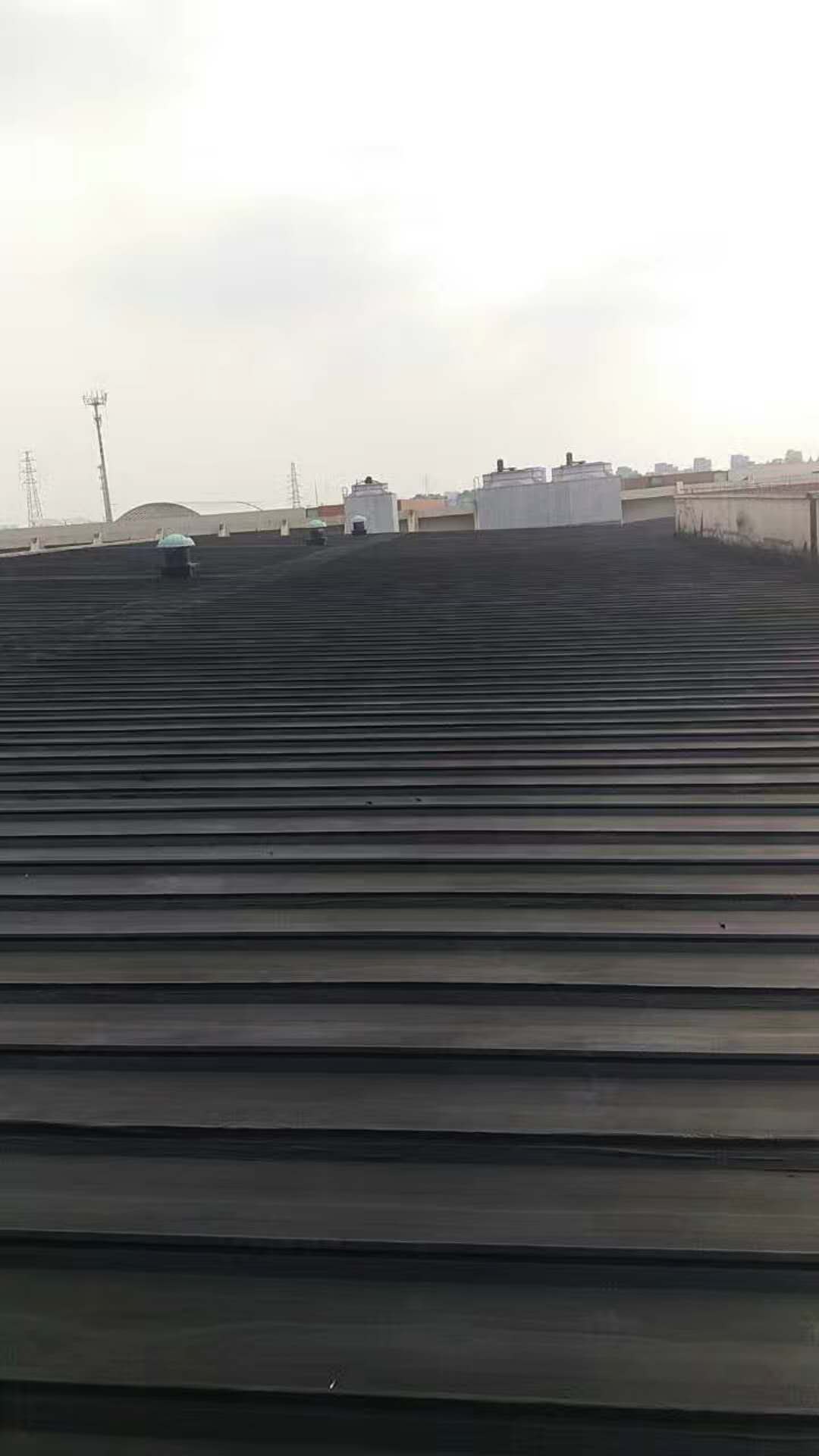 141496701774551998.jpg